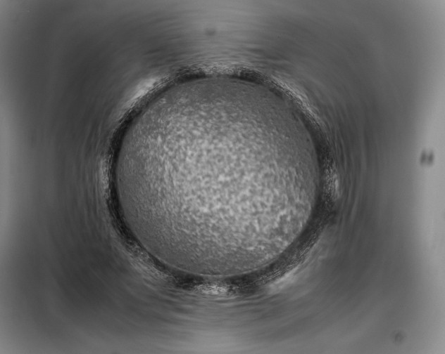 X0000098220687200805011235