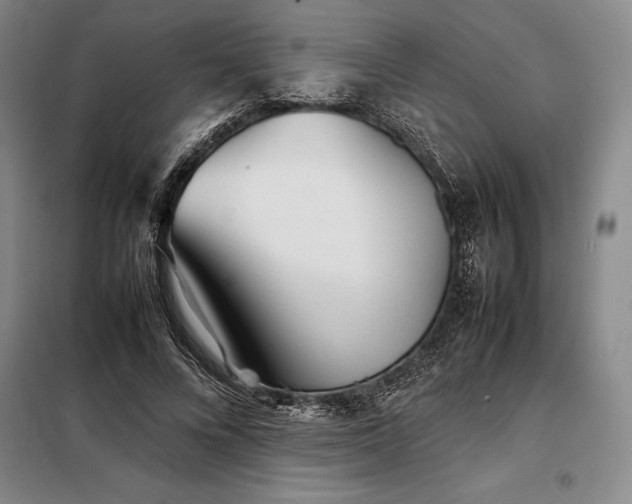 X0000098220688200805011235