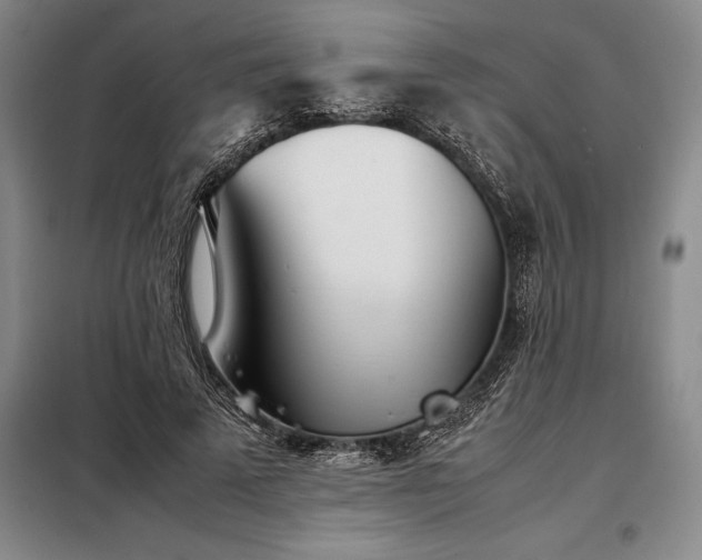 X0000098220689200805011235