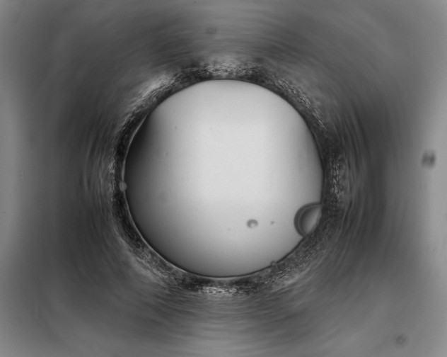 X0000098220690200805011235