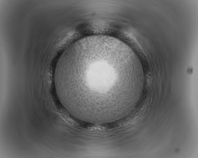 X0000098220691200805011235