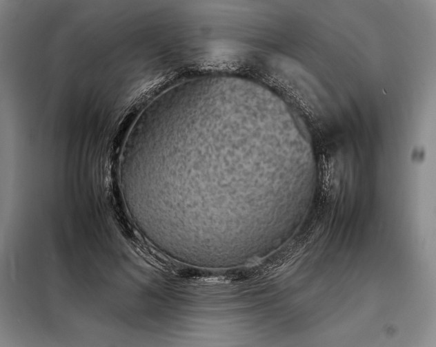 X0000098220692200805011235