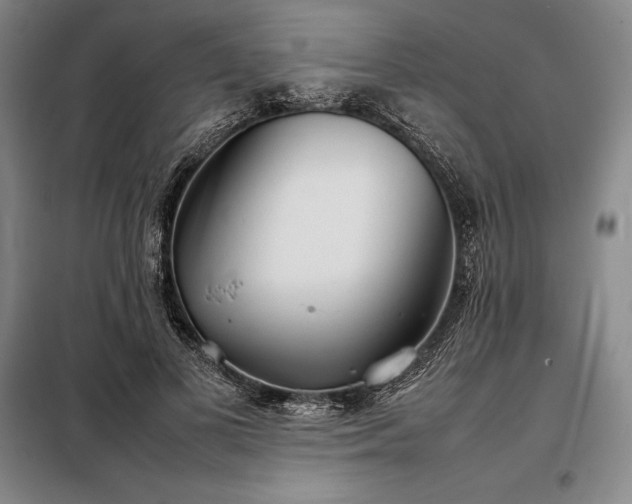 X0000098220693200805011235