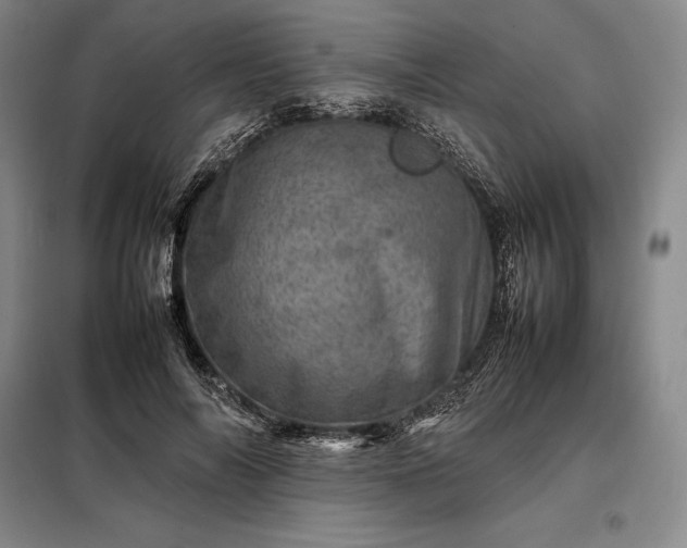 X0000098220694200805011235