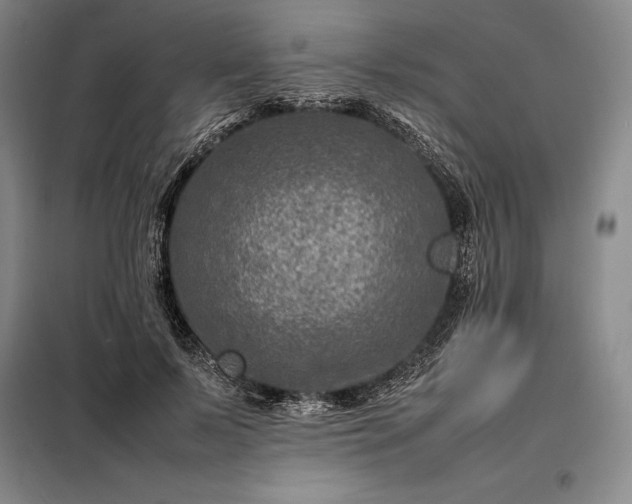 X0000098220695200805011235