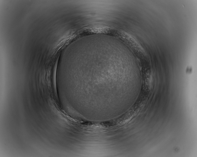 X0000098220696200805011235