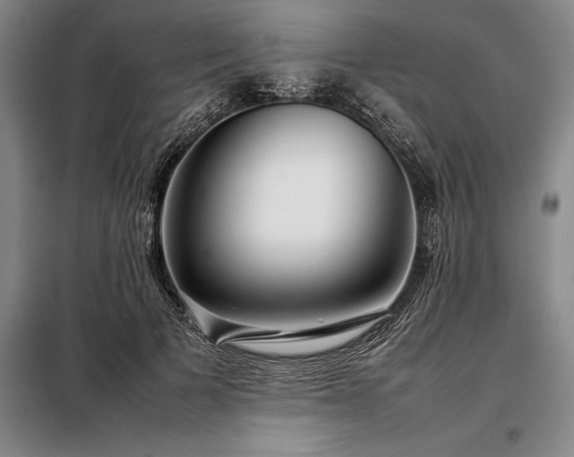 X0000098220697200805011235