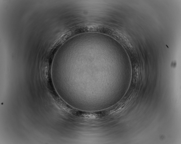 X0000098220698200805011235