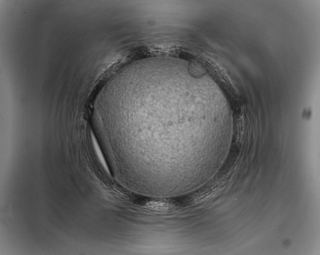 X0000098220699200805011235