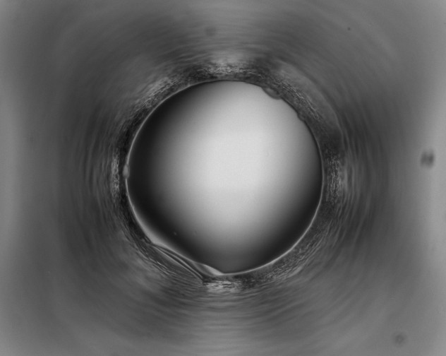 X0000098220700200805011235