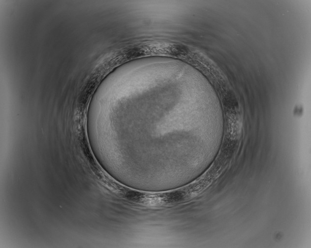 X0000098220701200805011235