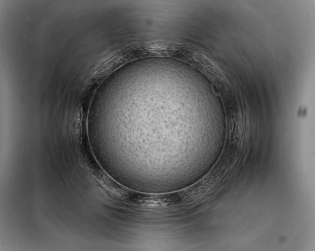 X0000098220702200805011234