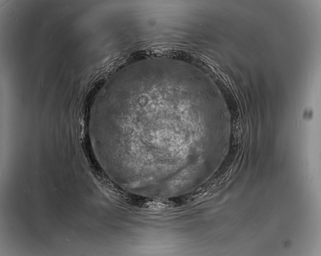 X0000098220703200805011234