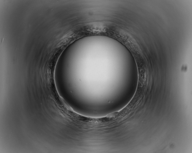 X0000098220704200805011234