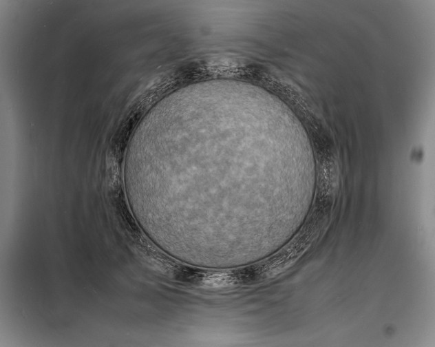 X0000098220705200805011234