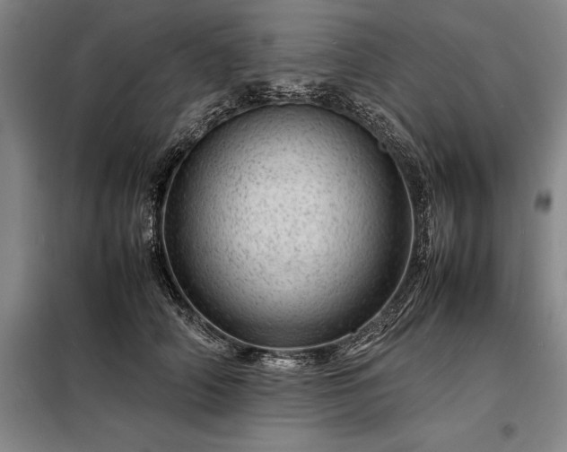 X0000098220706200805011234