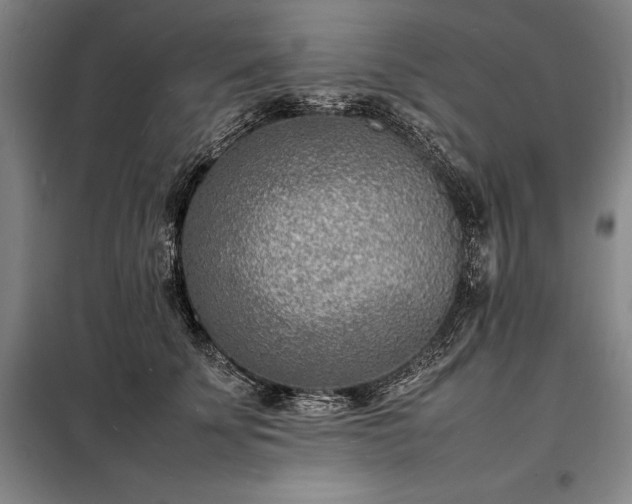 X0000098220707200805011234