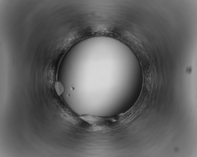 X0000098220708200805011234