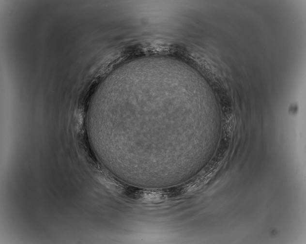 X0000098220709200805011234