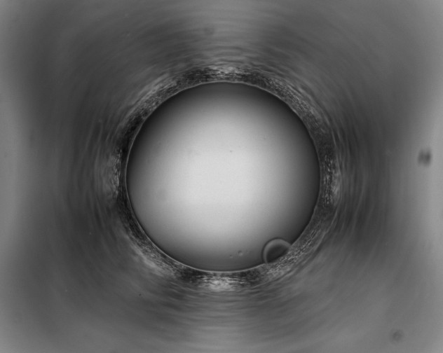 X0000098220710200805011234