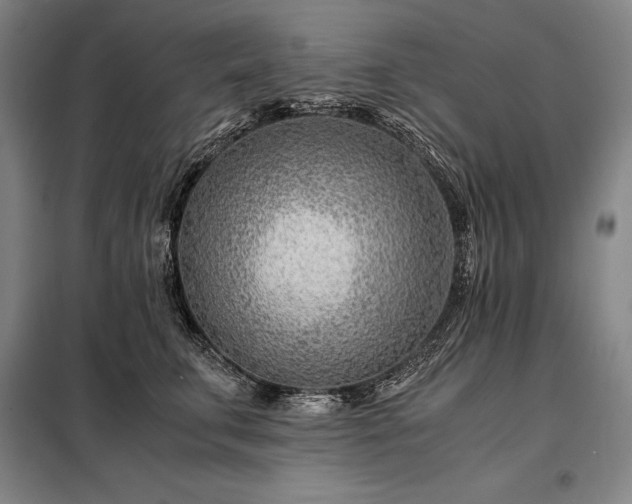 X0000098220711200805011234