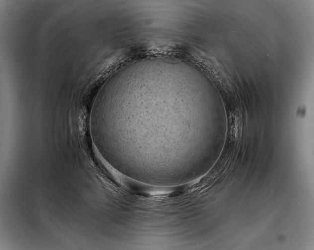 X0000098220712200805011234