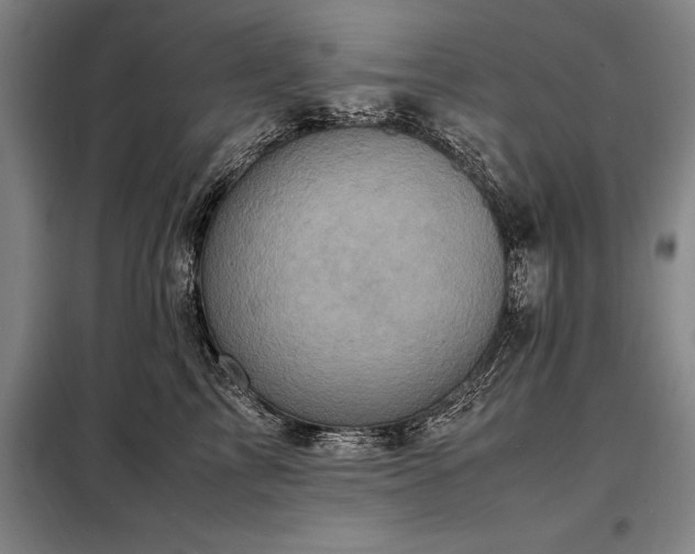 X0000098220713200805011234