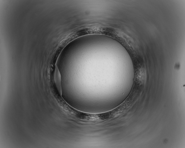 X0000098220715200805011234