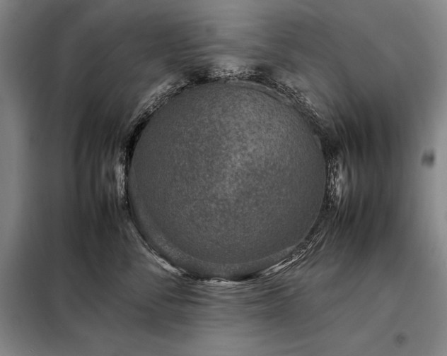 X0000098220716200805011234