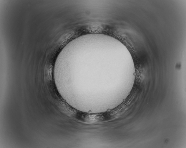 X0000098220717200805011234