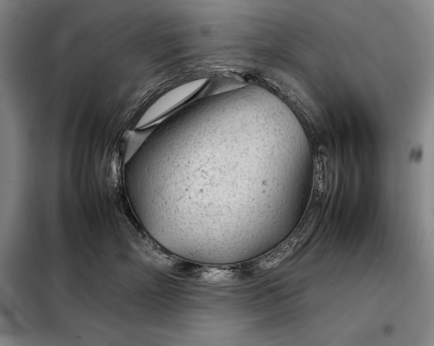 X0000098220718200805011234