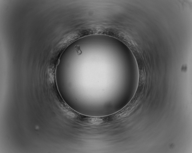 X0000098220719200805011234