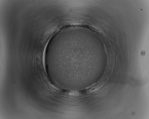 X0000098220720200805011234