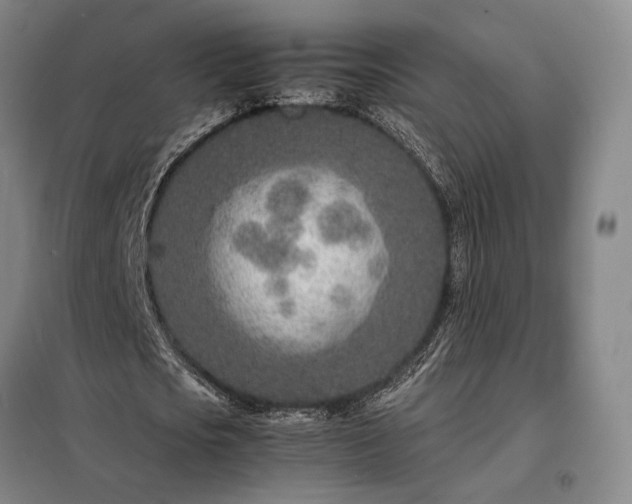 X0000098220721200805011233