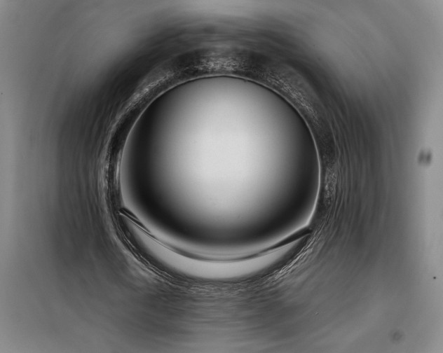 X0000098220722200805011234