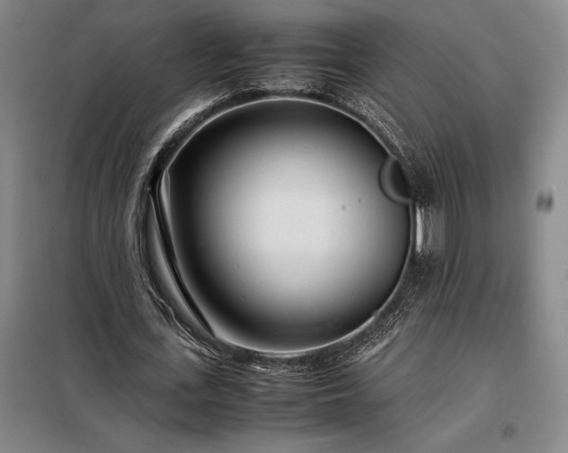 X0000098220723200805011234