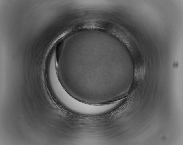 X0000098220724200805011234