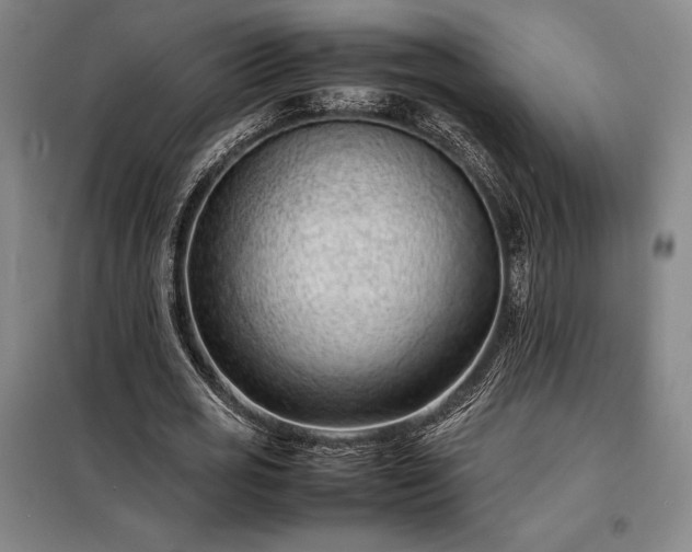 X0000098220725200805011234