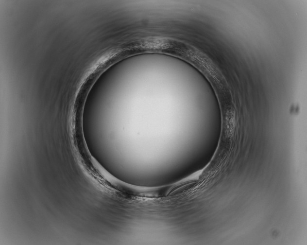 X0000098220726200805011234