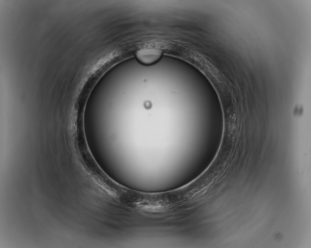 X0000098220727200805011234