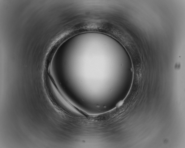 X0000098220728200805011234