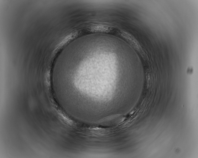 X0000098220729200805011234