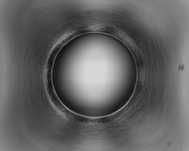 X0000098220730200805011234