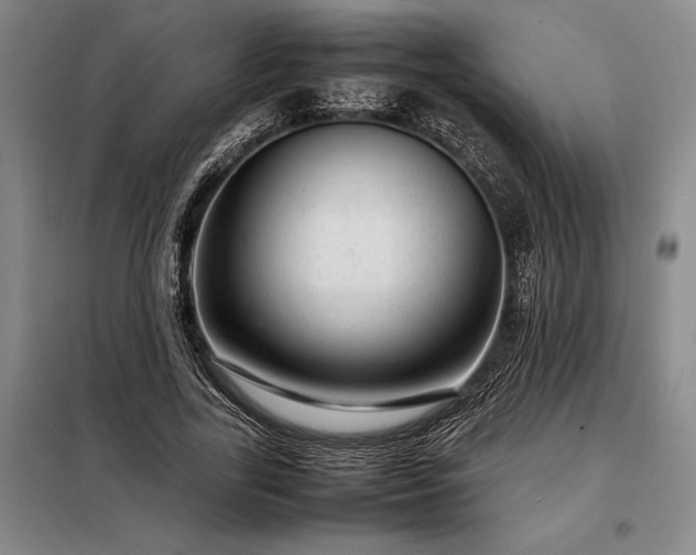 X0000098220731200805011234