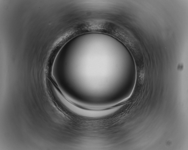 X0000098220732200805011234