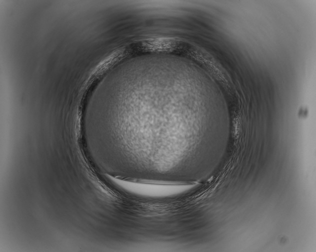 X0000098220733200805011234