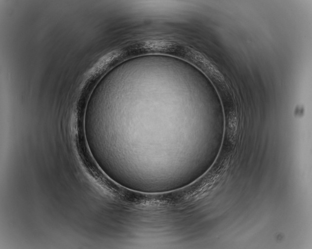 X0000098220734200805011234