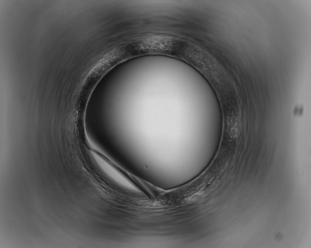 X0000098220735200805011234