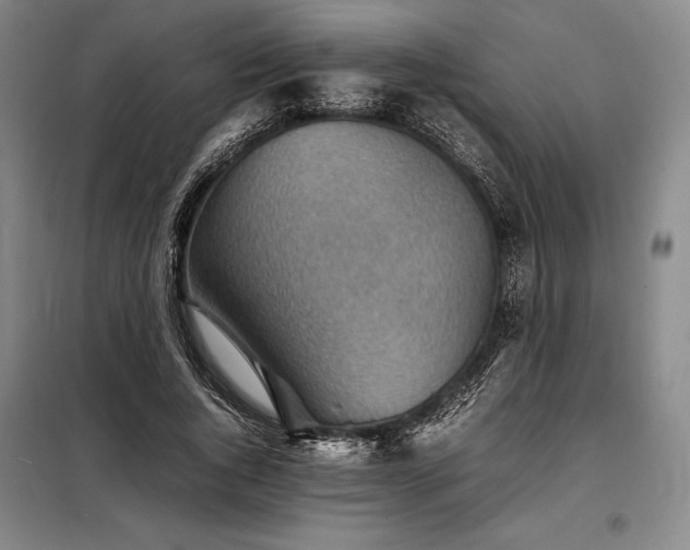 X0000098220736200805011234