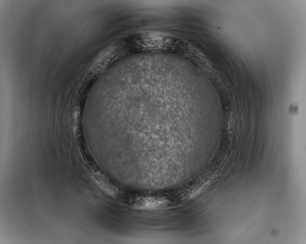 X0000098220737200805011234